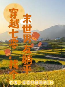 星河元首苏晨