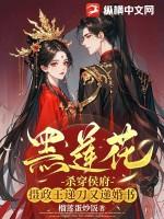 南城有雨明开夜合讲的什么