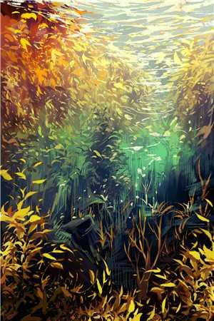 我看好你哟表情