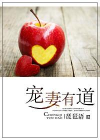 超级御兽系统