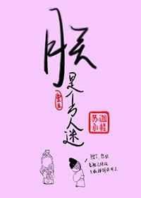 出云意思