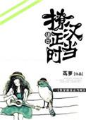 料理鼠王原版