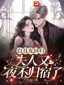 特种兵穿越到大明的
