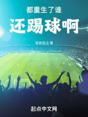 照破山河万朵上一句