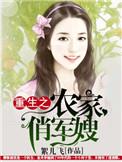 穿越北宋的历史