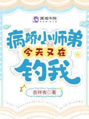 穿越之凌家夫夫盘