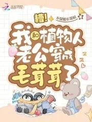 百听不厌的经典歌曲