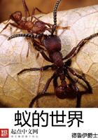 见江山有车吗