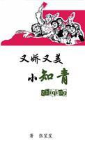 世家贵妾讲的什么