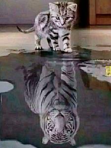 霍格沃茨的黑巫师双男主