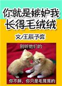黄陂天成大院度假山庄