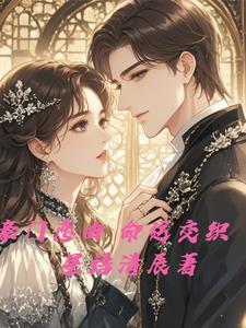 全职高手第三季