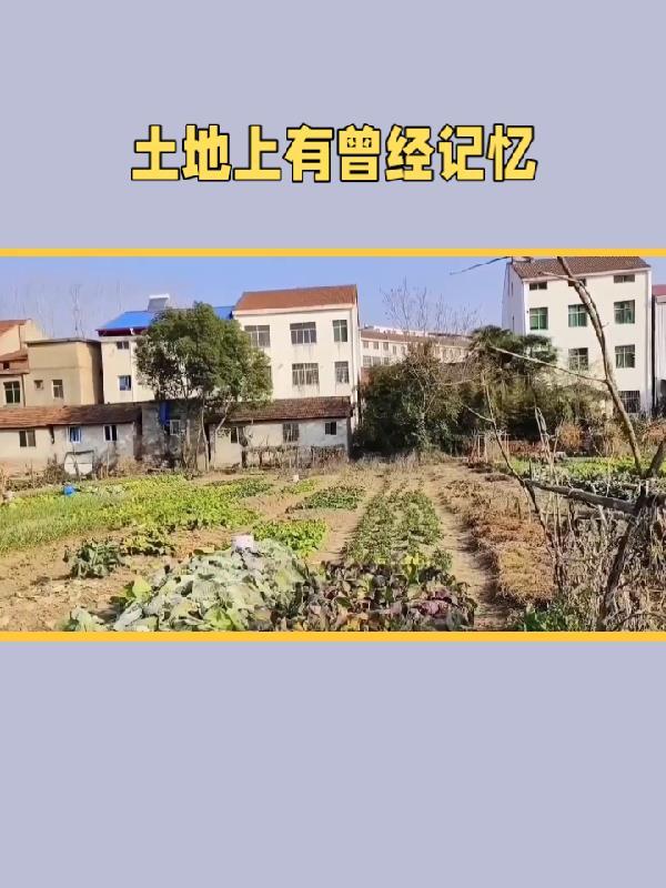 不细思就不会极恐