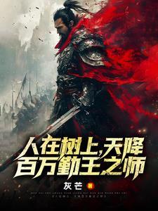 顽石所有番外