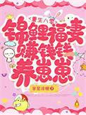 重生之护主免费
