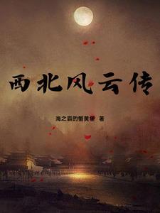 没结果(快穿)txt
