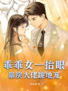 落日淌火免费阅读无弹窗全文