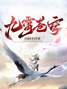 重生之权臣的掌中娇南宝衣