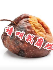 恋爱中毒大作战在线观看