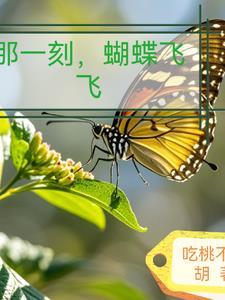 大唐天将军起点