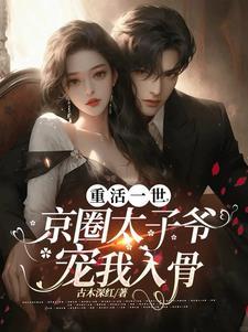 四合院 主人身份