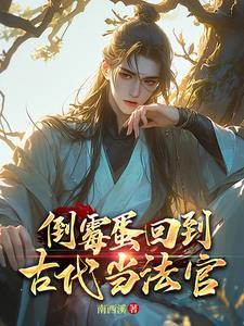 我的快穿系统与众不同格格党