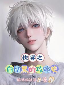 极光之愿txt