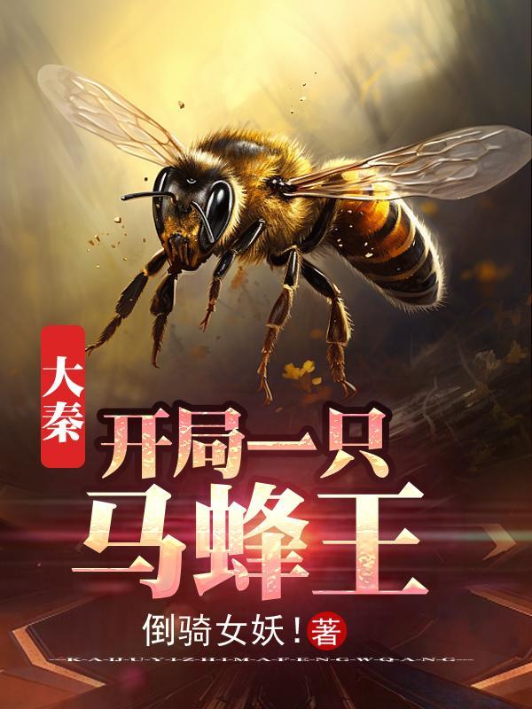 至尊无极之风云再起百度百科