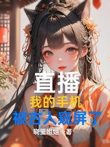 星汉公司