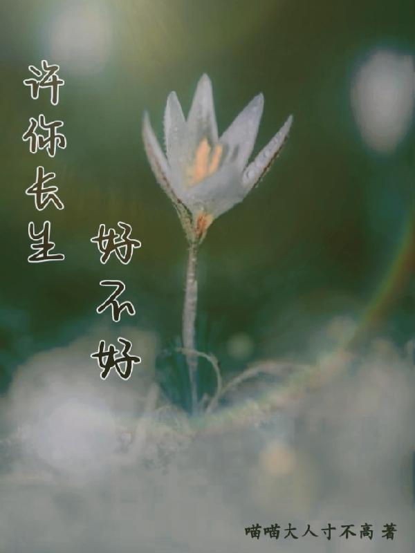 舵爷同款