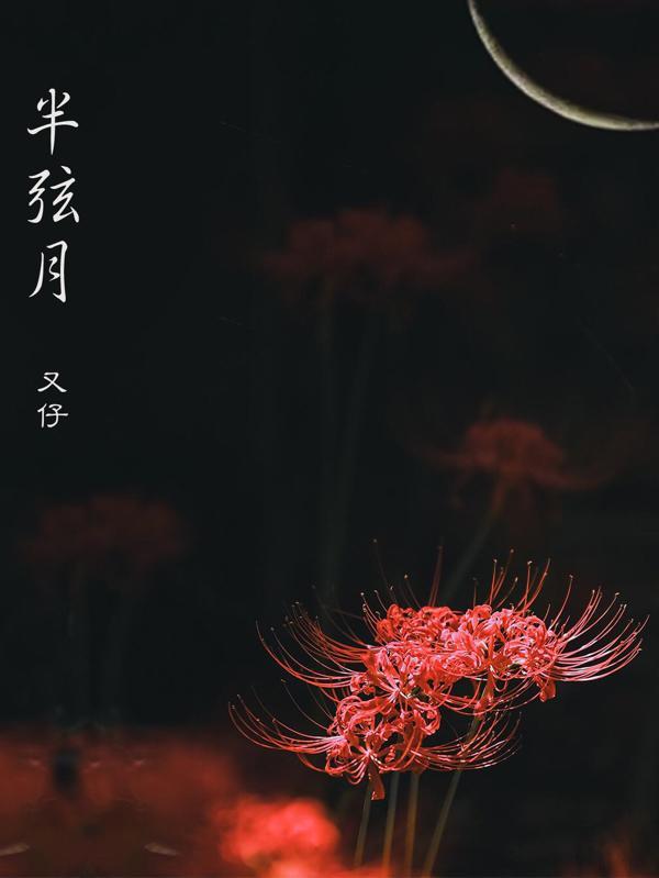 隔壁那个ad好像暗恋我全文
