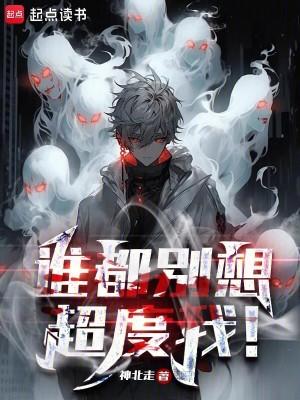恶狼高校字数