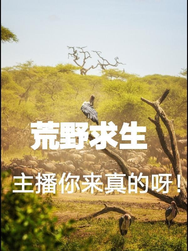 战天是哪部的人物