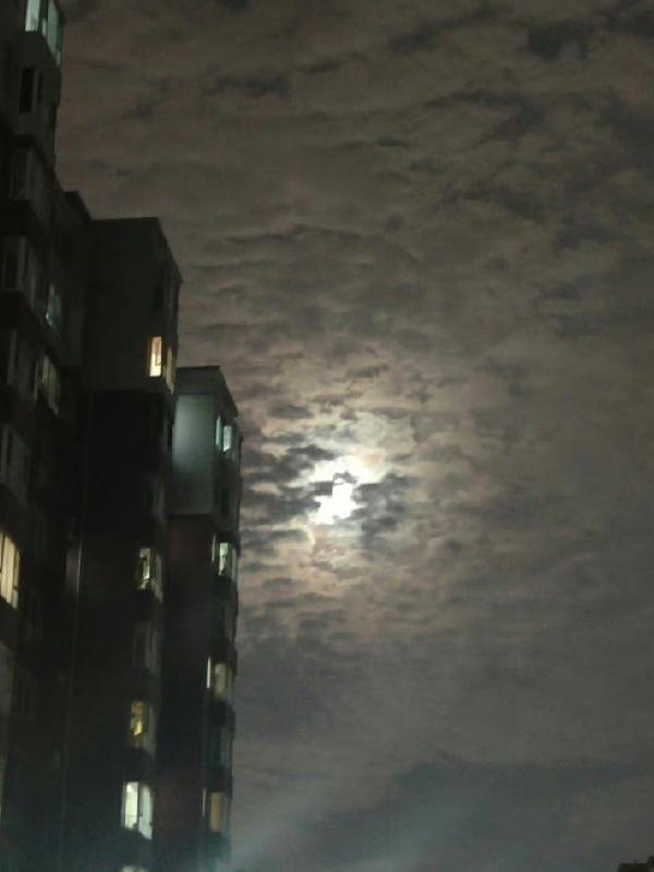 独步人混乱英俊免费阅读