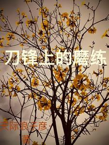 影帝的专属抱枕漫画