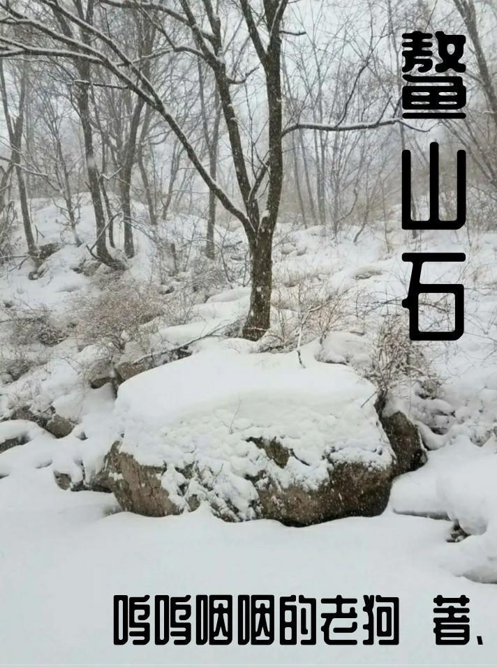 拾年茶叶价格