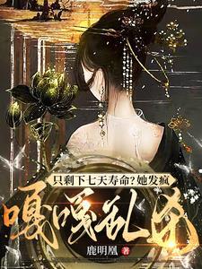 旗袍主播上恋综后掉马了 免费阅读
