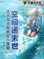 大宋美女传 讲的什么