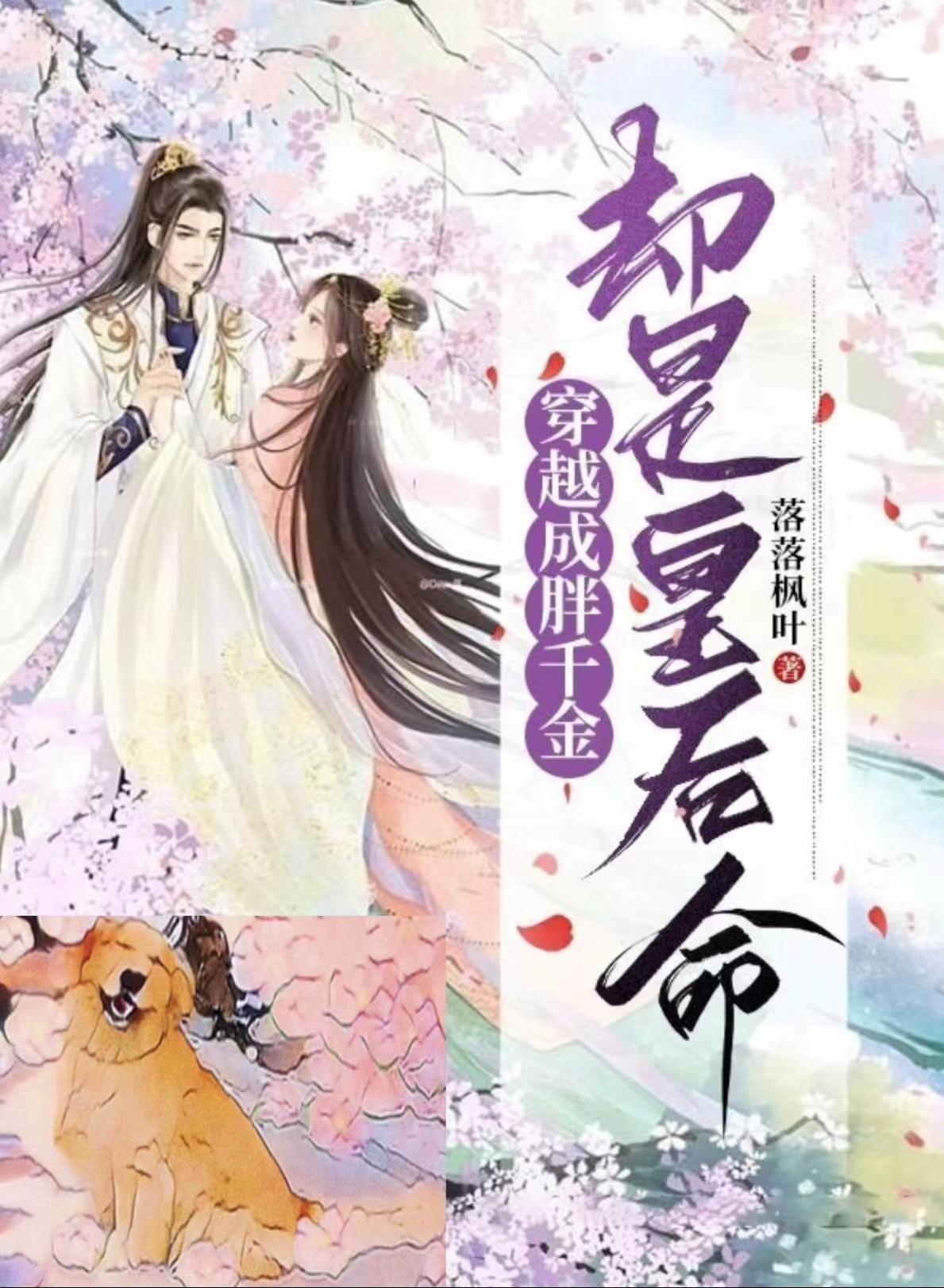 倾世宠妻全文阅读