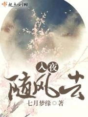 外科医生的王府生存指南免费阅读