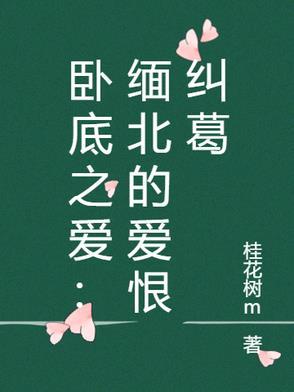 将军袍讲的是什么