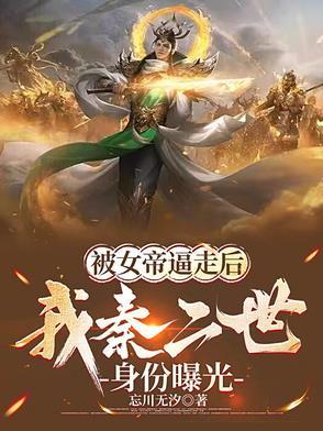 龙珠超之我是贝吉特