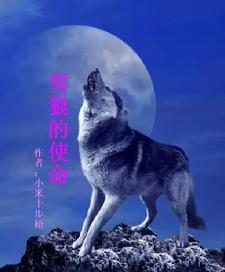 问道九霄百科