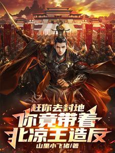 七十年代金凤凰全文免费阅读