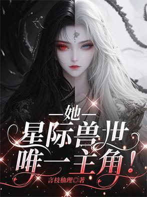 圣焰红龙陀螺