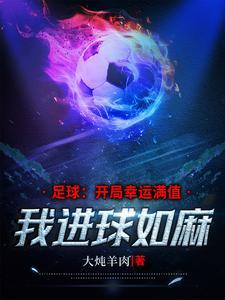 我是县委书记免费观看