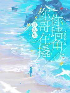 特种佣兵by一世华裳讲的什么