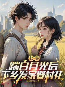 年华老去向谁言