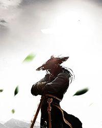 红楼之武者