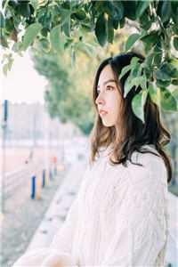 重生之本王面瘫难追妻全文阅读